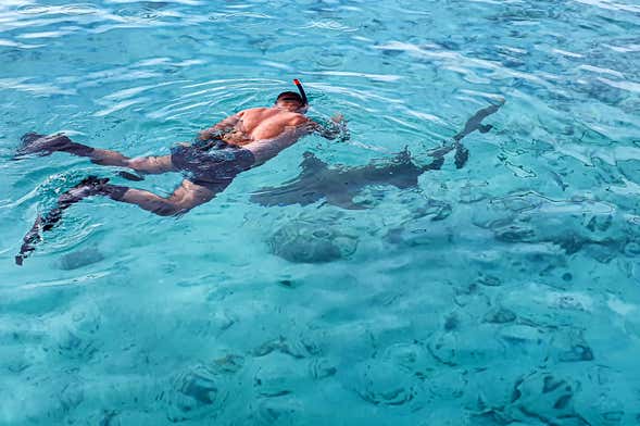 Snorkel en Dhiffushi