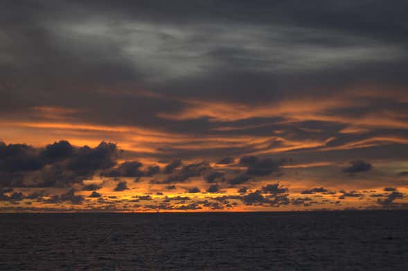 Paseo en barco al atardecer + Snorkel